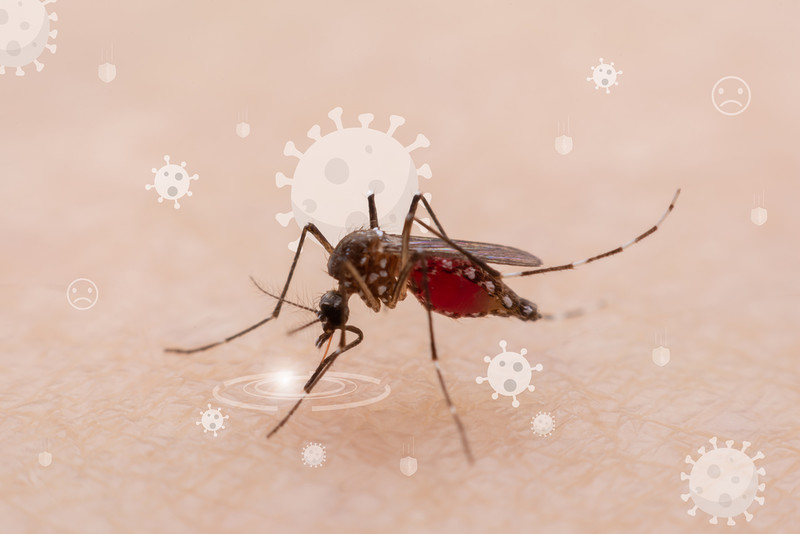 Pierwsza szczepionka przeciw alfawirusowi chikungunya zarejestrowana w UE