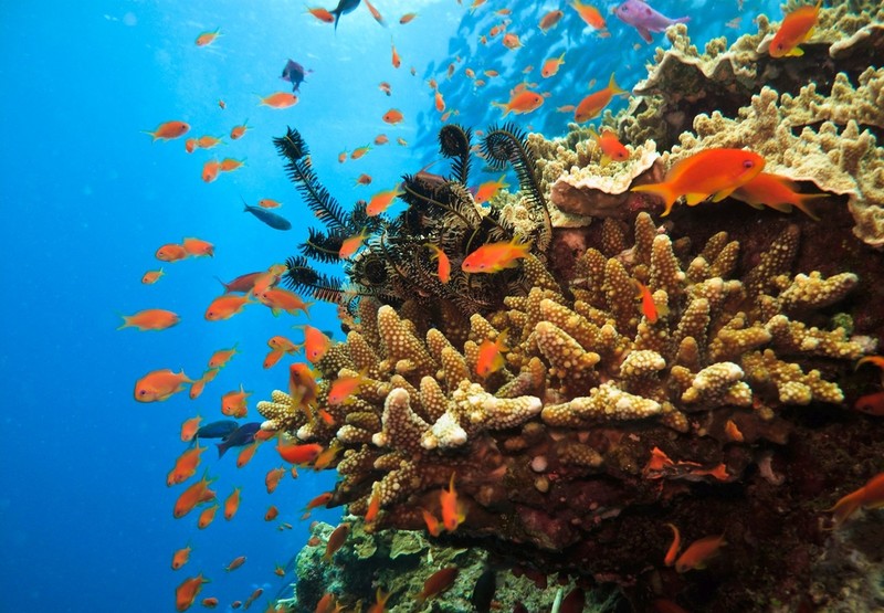 Australia: Reef 2050 Water Quality Improvement Plan comes into force