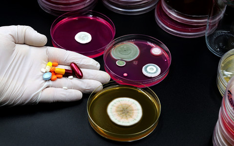 Superbugs Could Kill 39 Million People by 2050, Study Says