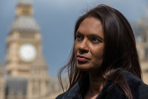 Gina Miller crowdfunds £300,000 to unseat pro-Brexit MPs