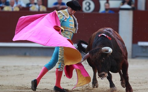 Spain: No public money for bullfighting