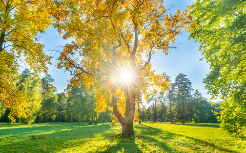 Copernicus: Second warmest September for the globe and Europe