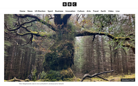 Ancient oak named after a band is UK Tree of the Year