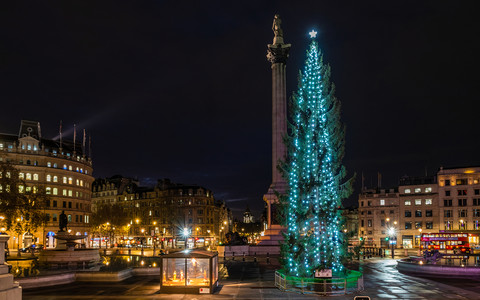 Trafalgar Square Christmas tree lights switch-on date confirmed