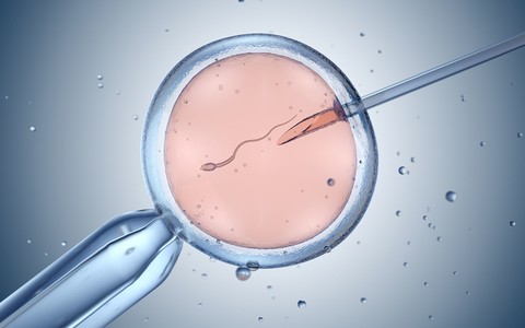 UK: Coraz więcej samotnych kobiet i par decyduje się na zapłodnienie in vitro