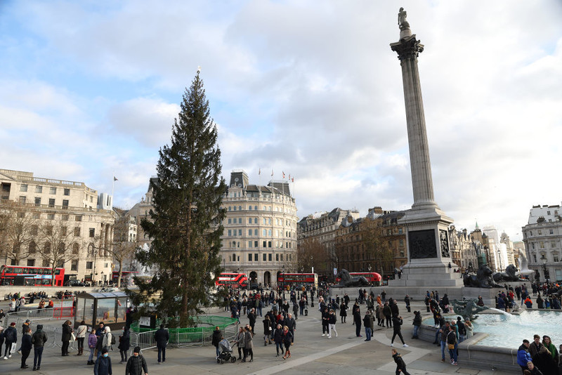 Londyn: Na Trafalgar Square stanęła choinka przetransportowana z Norwegii. Niektórzy ją krytykują