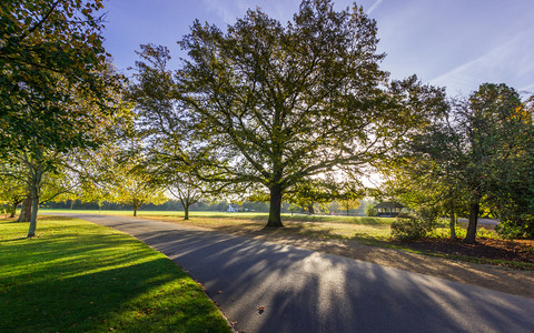 The 29-hectare park offering peace and escape in south east London