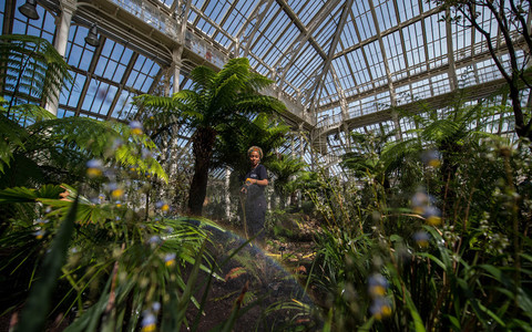 Kew Gardens names new plants and fungi species discovered in 2024