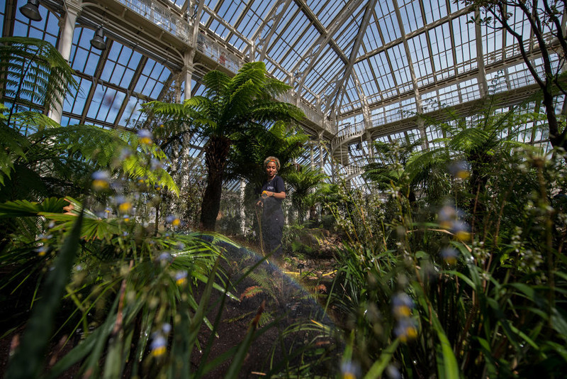 Naukowcy z Kew Gardens wytypowali 10 najciekawszych gatunków roślin i grzybów odkrytych w 2024 r.