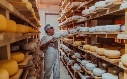 Eurostat: Poland is the fifth largest cheese producer in the EU. Germany is the leader