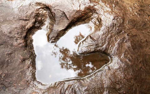 UK's biggest ever dinosaur footprint site unearthed