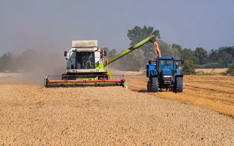 Eurostat: Poland has the second largest number of farms after Romania