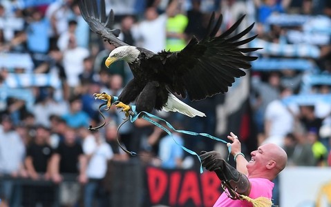 Lazio sack eagle mascot handler