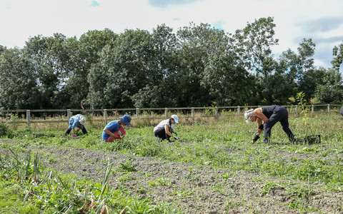 More migrant workers claim UK farm exploitation