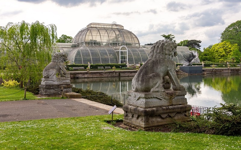 Kew Gardens otworzy "przełomowy" nowy ogród zainspirowany kryzysem klimatycznym