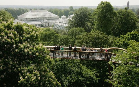 Londyn: Kew Gardens oferuje duże zniżki dla osób pobierających zasiłki