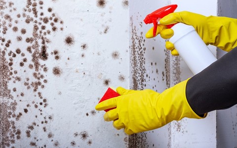 London borough ranked worst for damp and mould in England — how does your area compare?