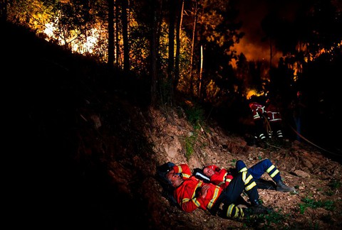 Tragiczny pożar lasów. Nie żyją co najmniej 62 osoby