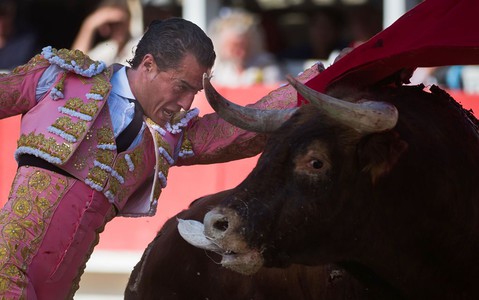 Award-winning matador dies after being gored in bullfight