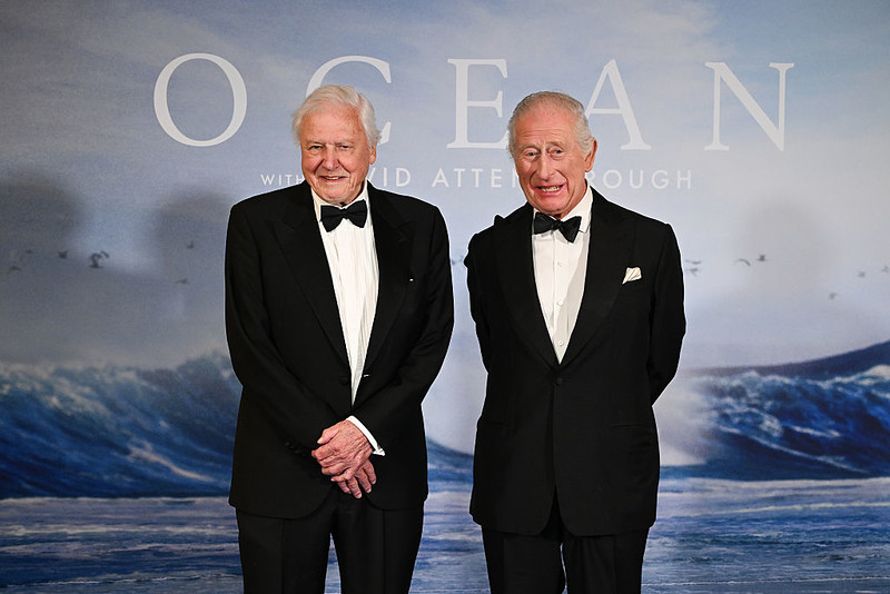 Słynny brytyjski biolog i popularyzator nauki David Attenborough kończy 99 lat