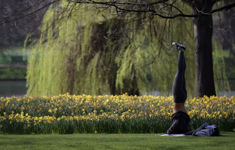 London 'one of the greenest cities in the UK,'