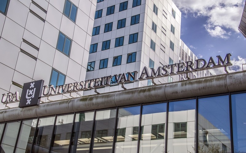 Polscy studenci w Holandii przed życiowymi wyborami. Jaką karierę wybiorą?