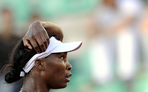 Venus Williams 'at fault' in fatal car crash, say Florida police