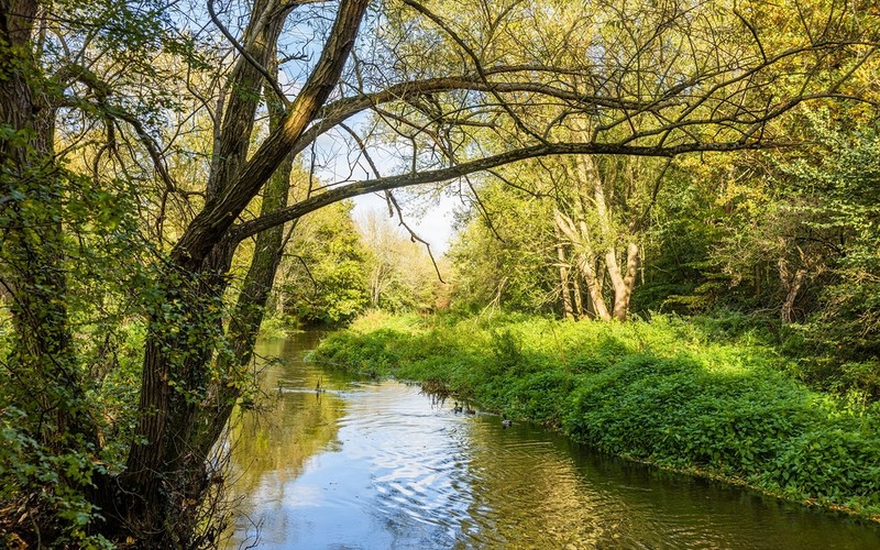'Almost forgotten' east London river to be revamped in £3m project