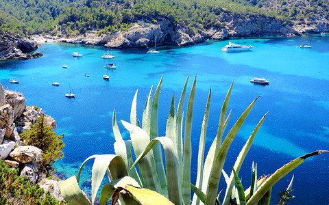 Ibiza i Majorka mają dość pijanych turystów. Chcą zakazu sprzedaży alkoholu w samolotach