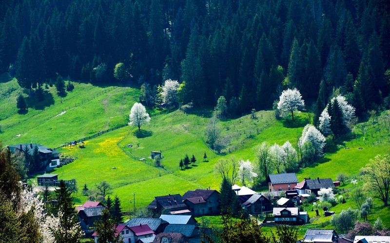 W Rumunii oficjalnie mieszka 2 tys. Polaków. Nieoficjalnie - nawet trzy razy więcej