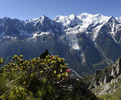 Polski ksiądz-alpinista poważnie ranny w wypadku w masywie Mont Blanc