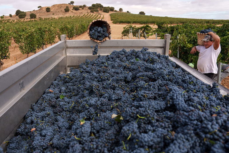 The perfect storm in a glass: The threats darkening Spanish wine’s horizon