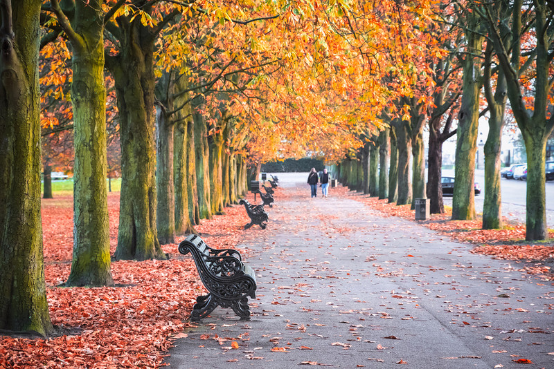 Oto 5 najlepszych miejsc na jesienne spacery w południowo-wschodnim Londynie