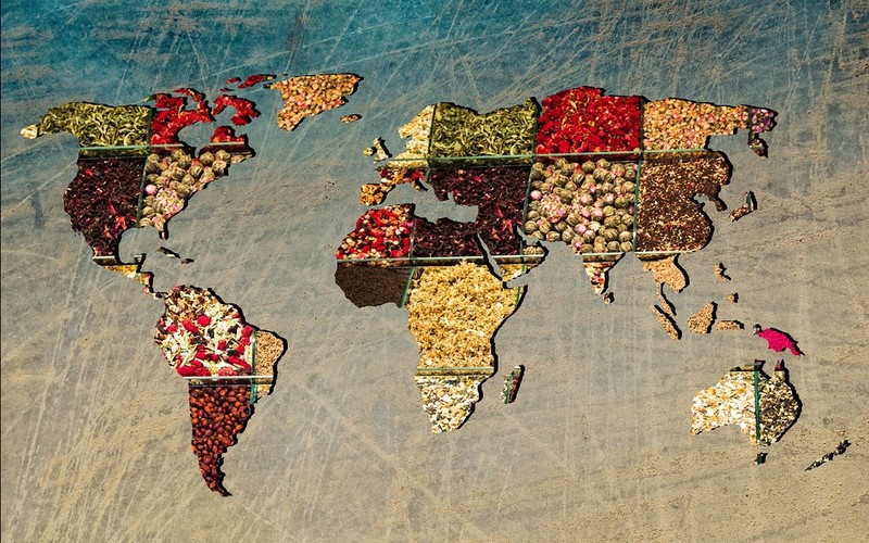 Enjoying international cuisines makes people more tolerant, UK study finds