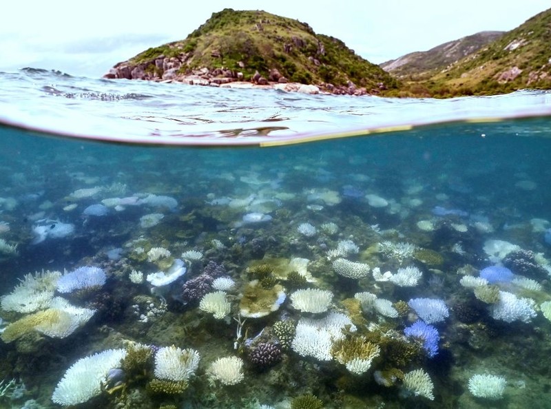 The world has reached its first climate tipping point