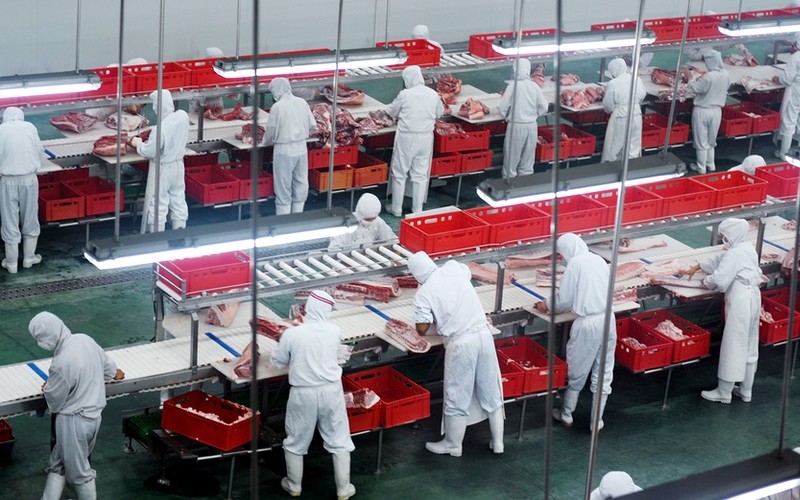 Pracodawcy RP: Cudzoziemcy wykonują prace, których nie chcą Polacy