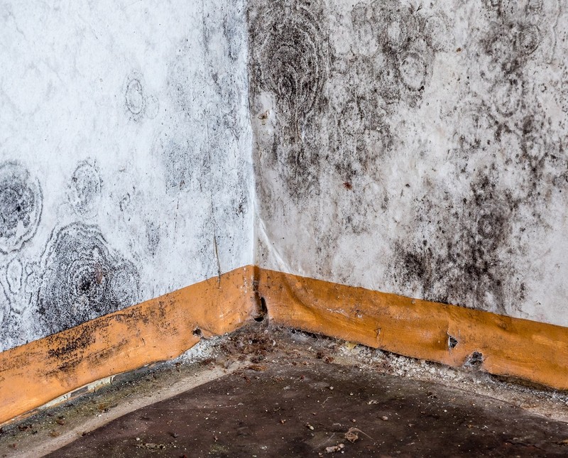 Lokatorzy mieszkań socjalnych będą chronieni nowym prawem. Wchodzi "ustawa Awaaba"