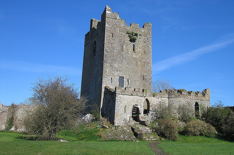 Medieval soldier 'haunting Clonony Castle in Offaly', claims owner