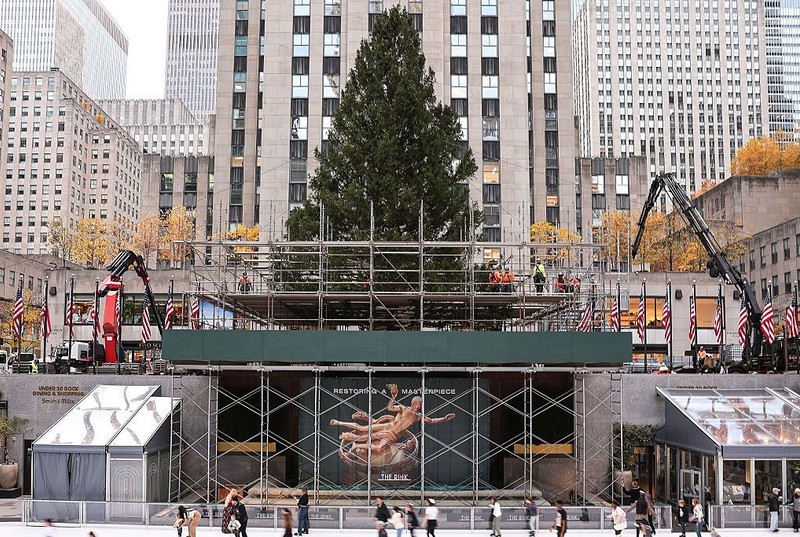 W Rockefeller Center stanęła choinka zwiastująca świąteczny sezon w Nowym Jorku