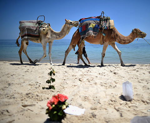 Brytyjskie biura turystyczne wznawiają sprzedaż wyjazdów do Tunezji
