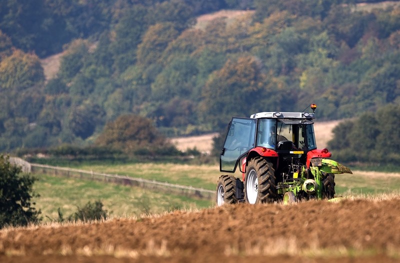 Sprzedaż brytyjskich produktów rolnych do UE spadła o 37%. Zawinił Brexit