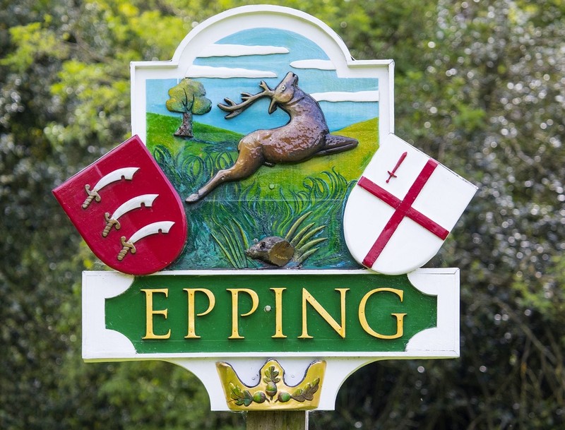 Epping - ciche i bezpieczne miasteczko pod Londynem z dostępem do lasu i stacją metra