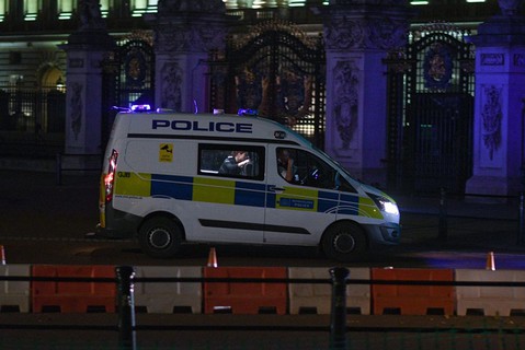 Zarzut terroryzmu dla nożownika spod Pałacu Buckingham
