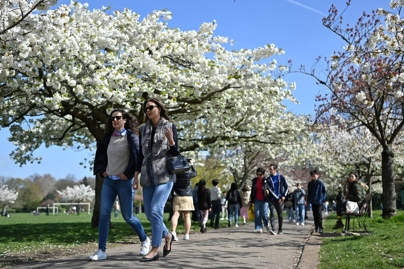 Met Office: Return of warm spring temperatures in London from late March