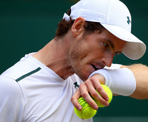 Andy Murray: World number two 'most likely' to miss rest of season with hip injury