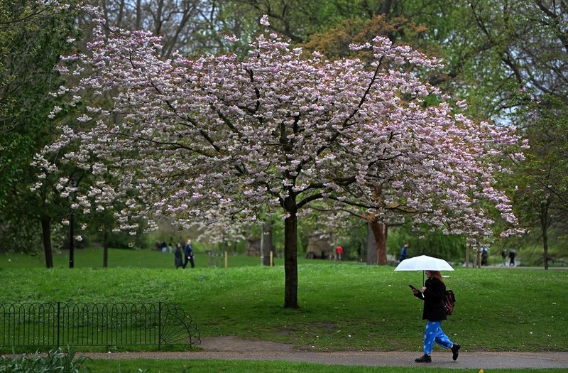 Pogoda na weekend: Deszcz i silne wiatry niemal w całym kraju
