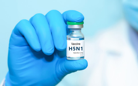 Szczepionka mRNA przeciw ptasiej grypie