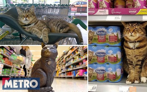 Przez lata witał klientów supermarketu. Kot Brutus otrzymał swoją rzeźbę