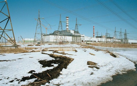 Czarnobyl: cezu w fińskich grzybach po czterdziestu latach