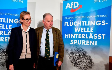Islam a political doctrine, not just a religion - co-chair of Germany's AfD party